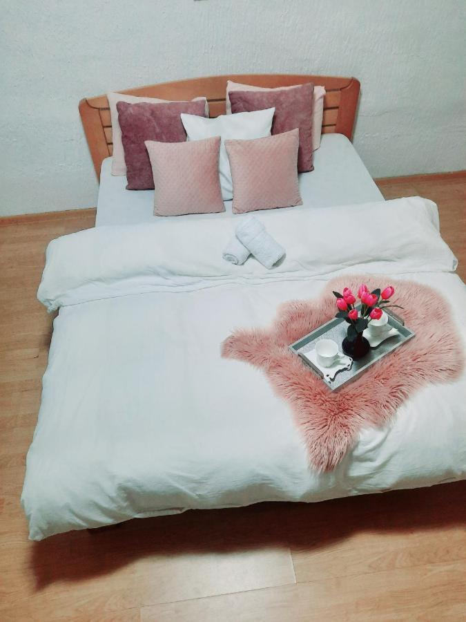 Apartmán Kuca Na Dan Šid Exteriér fotografie